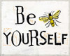 http://c328301.r1.cf1.rackcdn.com/PDX32607HRSMALL.jpg