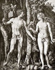 Adam And Eve Poster Print by Albrecht Durer - Item # VARPDX372768