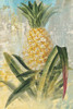 Botanical Pineapple Poster Print by Nan - Item # VARPDX19001