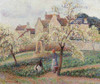 Plum Trees In Blossom Poster Print by Camille Pissarro - Item # VARPDX267031