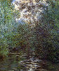 Le Fleuve Aux Saules 1876 Poster Print by Claude Monet - Item # VARPDX373804