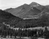 View with trees in foreground, barren mountains in background, in Rocky Mountain National Park, Colo Poster Print by Ansel Adams - Item # VARPDX460962