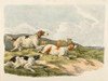 Running Hounds, 1817 Poster Print by Henry Thomas Alken - Item # VARPDX460408