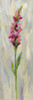Single Stem Flower IV Poster Print by Silvia Vassileva - Item # VARPDX32402HR