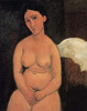 A Seated Nude Poster Print by Amedeo Modigliani - Item # VARPDX373597