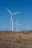Wind turbines in Shackelford County, TX, northeast of Abilene Poster Print by Carol Highsmith - Item # VARPDX468093