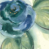 Wannabe Poppies V Poster Print by Chris Paschke - Item # VARPDX34719