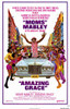 Amazing Grace Movie Poster (11 x 17) - Item # MOV194309