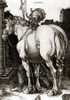 The Large Horse Poster Print by Albrecht Durer - Item # VARPDX264855