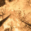 Epiphany I Poster Print by Marvin Pelkey - Item # VARPDXPOD5096