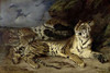 Young Tiger Playing with his Mother Poster Print by Eugene Delacroix - Item # VARPDX277383