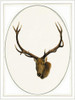 Deer Ii Poster Print by Anne Waltz - Item # VARPDXWE0041