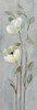 Neutral Branches II on Gray Poster Print by Silvia Vassileva - Item # VARPDX32640