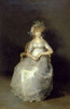 The Countess of Chichon Poster Print by Francisco De Goya - Item # VARPDX281964