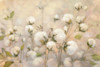Cotton Field Poster Print by Julia Purinton - Item # VARPDX31778HR
