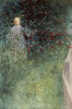 In The Hawthorn Hedge Poster Print by Carl Larsson - Item # VARPDX268223