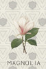 Magnolia I Poster Print by Anne Waltz - Item # VARPDXWE0069
