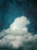 The Cloud Poster Print by Dirk Wuestenhagen - Item # VARPDXW897D