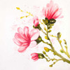 Watercolor Magnolia Flowers Poster Print by Atelier B Art Studio - Item # VARPDXBEGFLO210