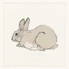 Rabbit Poster Print by Anne Waltz - Item # VARPDXWE0050