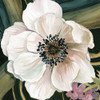 Anemone Study IV Poster Print by Carol Robinson - Item # VARPDX18448
