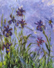 Irises Poster Print by Claude Monet - Item # VARPDX373791