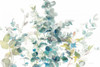 Eucalyptus I White Crop Poster Print by Danhui Nai - Item # VARPDX35489