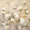 Cotton Field Crop Poster Print by Julia Purinton - Item # VARPDX31778