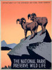 The National Parks Preserve Wild Life, ca. 1936-1939 Poster Print by J. Hirt - Item # VARPDX455905