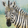 Painterly Zebra Poster Print by Tava Studios - Item # VARPDX18601