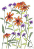 Orange Corn Flower Poster Print by Beverly Dyer - Item # VARPDXBDRC124E