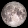 Full Moon Poster Print by Kimberly Allen # KASQ041A