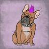 Rockin Frenchie Poster Print by Marcus Prime - Item # VARPDXMPSQ021C