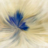 Blue Bloom 2 Poster Print by Kimberly Allen # KASQ040B