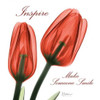 Inspire Tulips Poster Print by Albert Koetsier # AK5SQ099T2