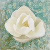 Wimsy Floral Poster Print by Jace Grey # JGSQ194A