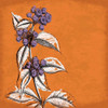 Flowers Poster Print by Jace Grey - Item # VARPDXJGSQ055A