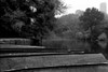 Central Park Row Boats II Poster Print by Jace Grey - Item # VARPDXJPIRC016A