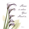 Calla Lilies Home Poster Print by Albert Koetsier # AK5SQ099K2