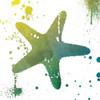 Starfish Splatter Poster Print by Jace Grey - Item # VARPDXJGSQ562B
