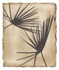 Tropic Palm 2 Poster Print by Avant Art Avant Art # AAET051