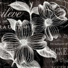 White Fleurs Poster Print by Lula Bijoux and Company Lula Bijoux and Company # QCOSQ007C