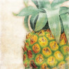 Tropical Pineapple Poster Print by Jace Grey - Item # VARPDXJGSQ293A3