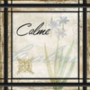 Calme Poster Print by Jace Grey - Item # VARPDXJGSQ377A
