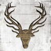 White Wood Deer Poster Print by  Jace Grey - Item # VARPDXJGSQ655A