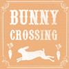 Bunny Crossing Poster Print by Candace Allen # QCASQ033B