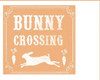 Bunny Crossing Poster Print by Candace Allen # QCASQ033B