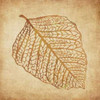 . Poster Print by Kristin Emery - Item # VARPDXKESQ025Z4