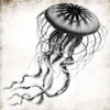 Jellyfish Ink Poster Print by Jace Grey # JGSQ592B