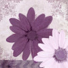 Purple Bloom 2 Poster Print by Kimberly Allen # KASQ015B